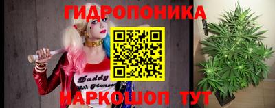 дмт Ачхой-Мартан