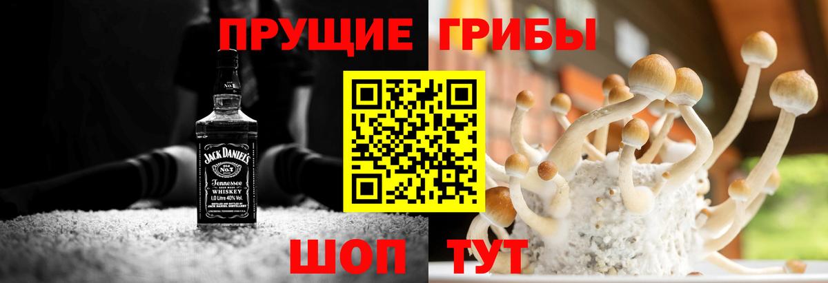 Галлюциногенные грибы GOLDEN TEACHER Пугачёв