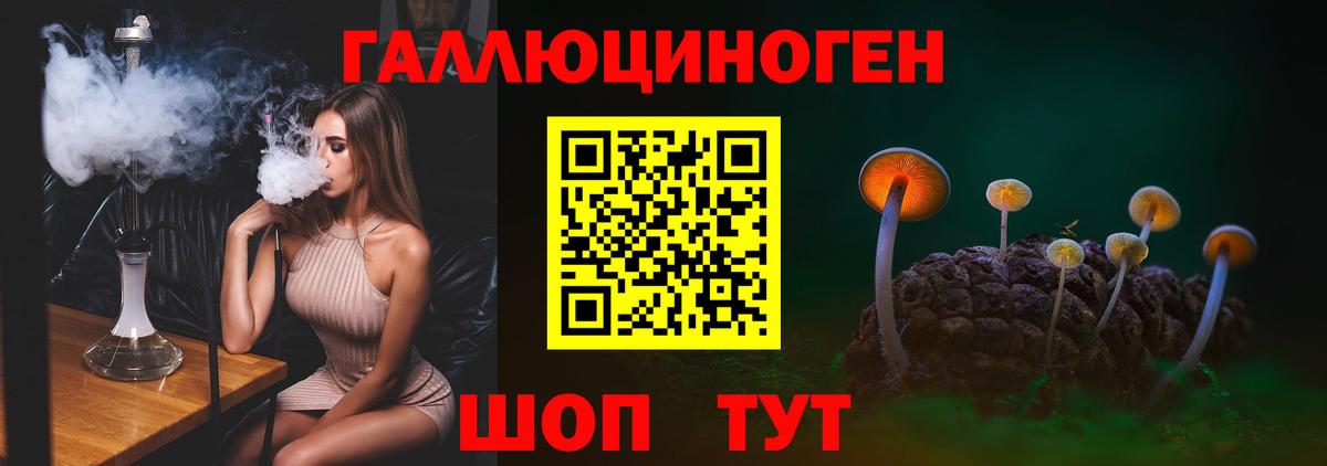 Галлюциногенные грибы прущие грибы  Псилоцибиновые грибы Psilocybine cubensis  Пугачёв  Вход с VPN 