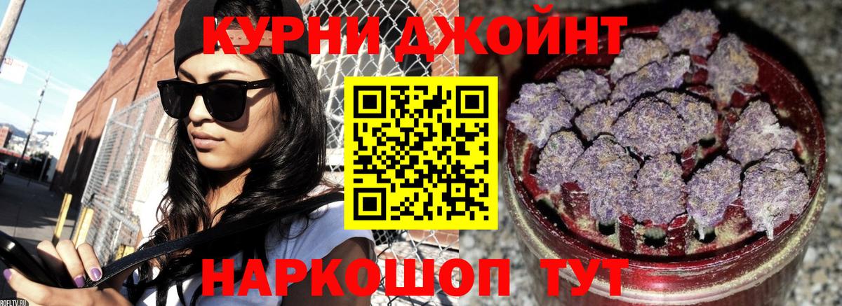Пугачёв  Конопля конопля  Конопля MAZAR  Бошки Шишки планчик  Вход с VPN  Шишки марихуана семена 